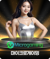 카지노13