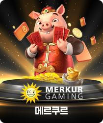 슬롯31